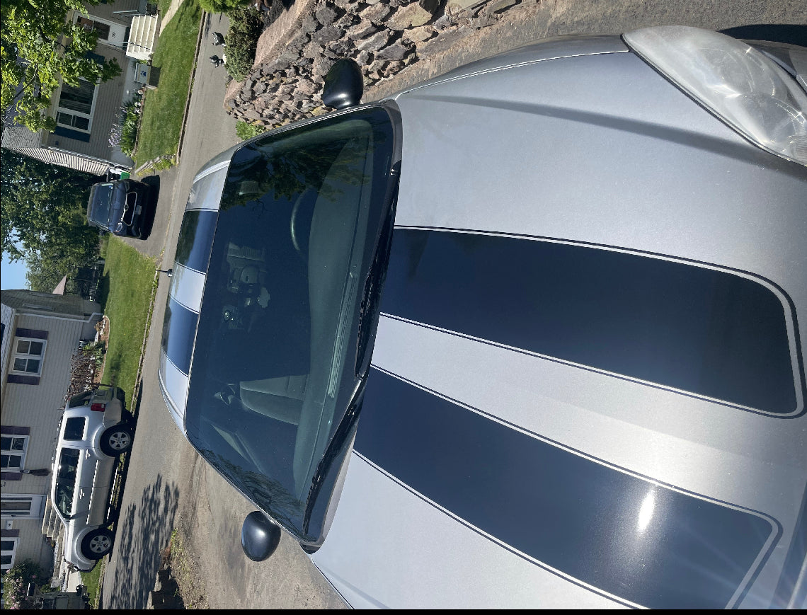 Monte Carlo rally stripes