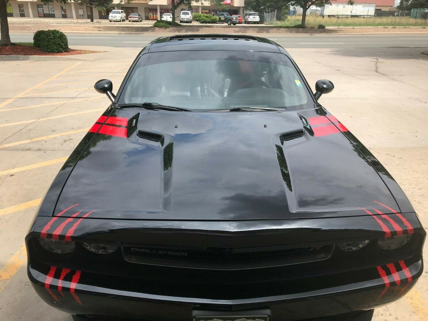 Scratch Vinyl Decal "FITS MOST CARS"