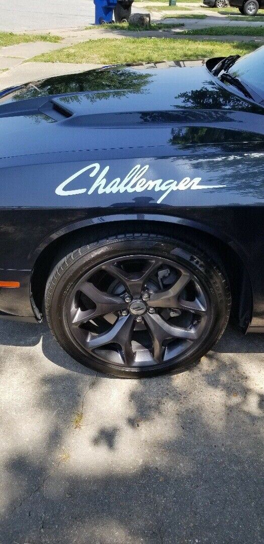 Dodge Challenger mopar hemi Side Graphics Hash Mark Srt