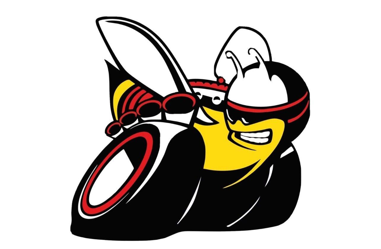 PAIR Bee DECALS Decal Sticker Left and Right side Fit Scat Pack