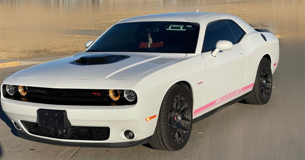 Shaker rocker panel decal