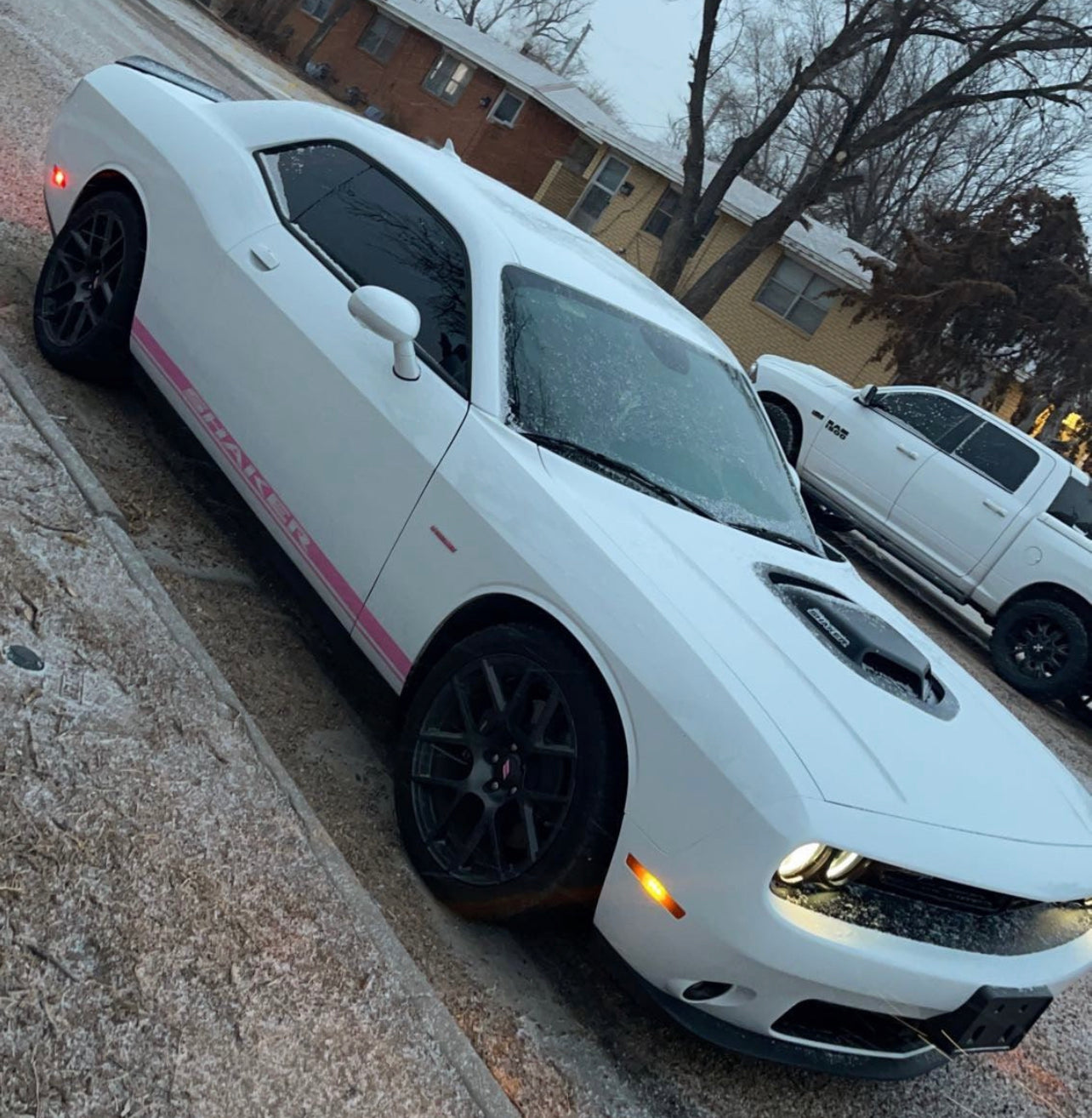 Shaker rocker panel decal