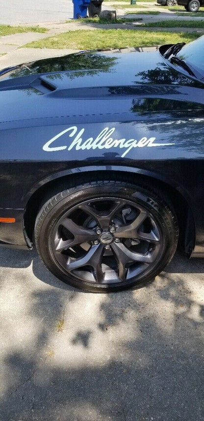 Vinyl Decal Fits Challenger Dodge  Mopar Stickers Racing Stripes Unofficial Pair