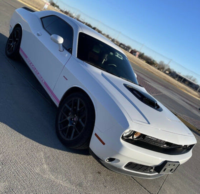 shaker rocker decal fits challenger