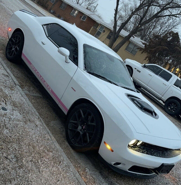 shaker rocker decal fits challenger