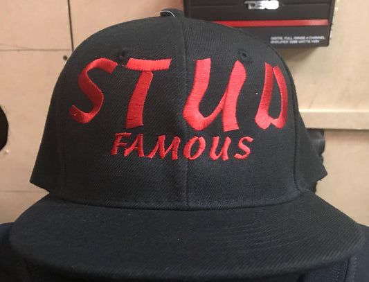 Stud famous hats